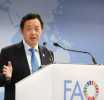 FAO calls for stronger implementation of global food safety standards